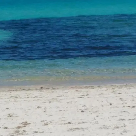 아파트 In Rudargia *